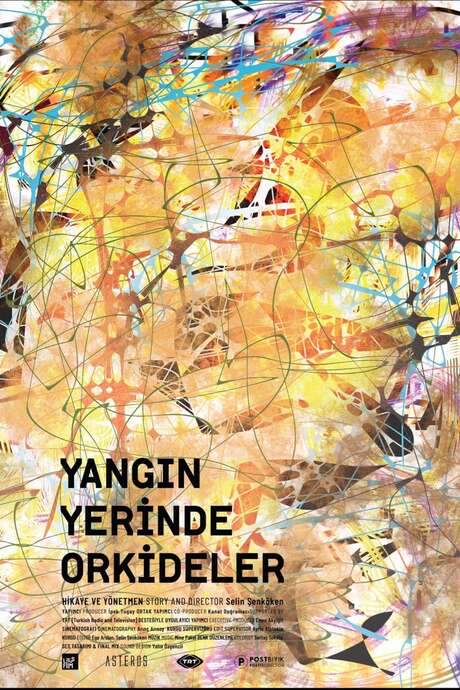 Ali Arif Ersen, a painter, photographer, jazz enthusiast, and food lover, experiences a sudden and devastating medical event that leaves him with locked-in syndrome and confined to his bed. The film portrays his struggle to maintain his creative drive and explore the profound passion for life, showcasing his journey of resilience and the challenging process of rebuilding a life irrevocably altered by tragedy.